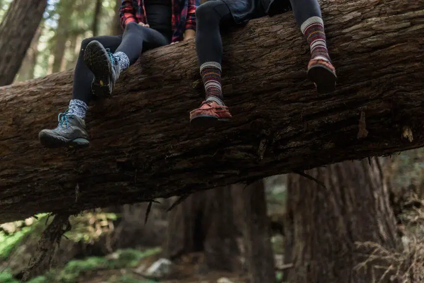 sock-liner-hiking