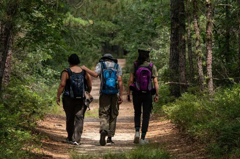 How Hiking Is Different From Brisk Walking? (Quick Facts)
